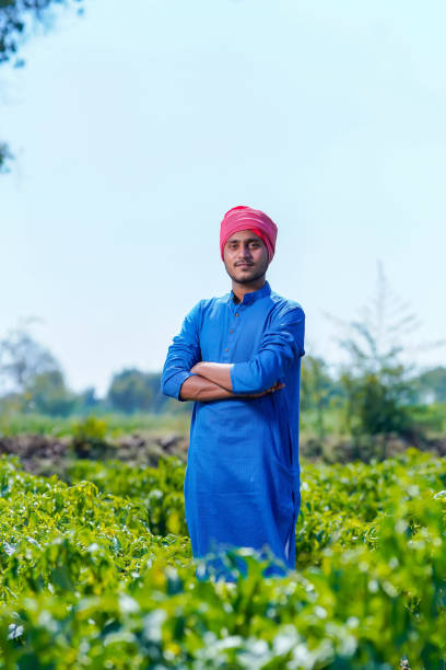 istock Young indian farmer standing at green chilly field 1303447977