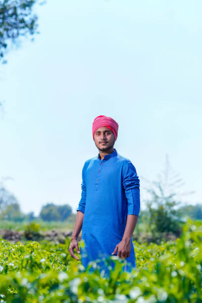 istock Young indian farmer standing at green chilly field 1303448020