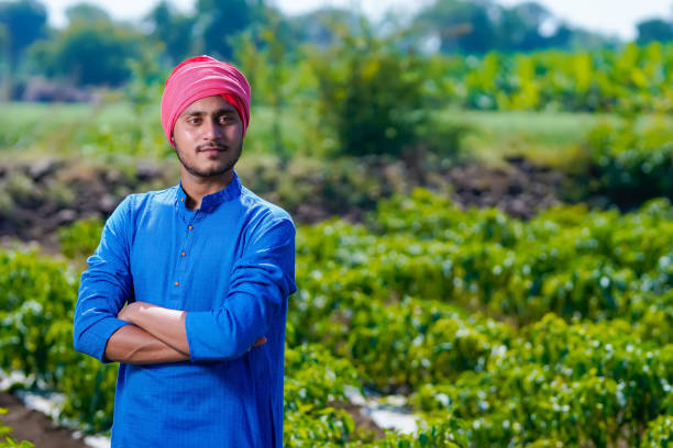 istock Young indian farmer standing at green chilly field 1303448029