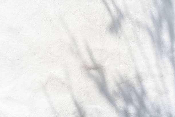 istock Shadow of palm leave on white cement wall background with copy space 1303450212