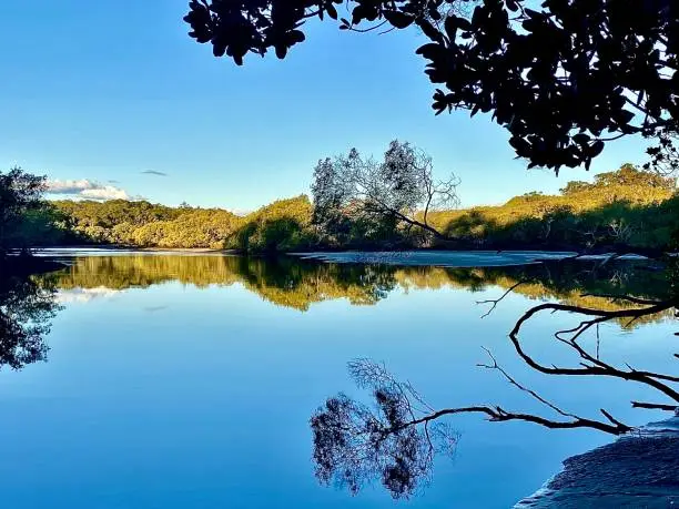 Photo of Calm Riverside Waters with Tree Reflections at Brunswick Heads Australia