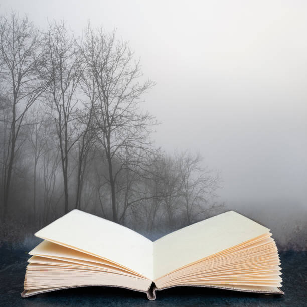 istock Digital composite image of Moody dramatic foggy forest landscape Spring Autumn Fall 1303455870