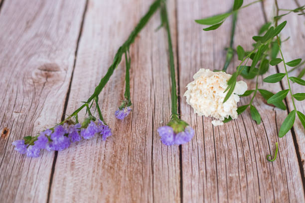 istock The florist desktop on light wooden background with place for text. 1303458514