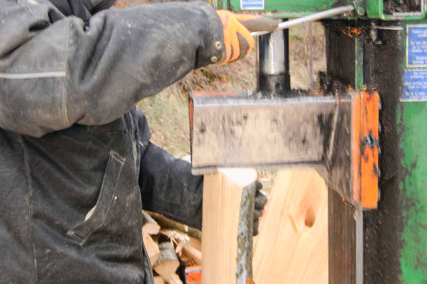 istock wood splitting in the forest 1303458948