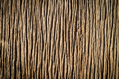 A old wooden plank with many vertical grooves. for background or rustic style invitation