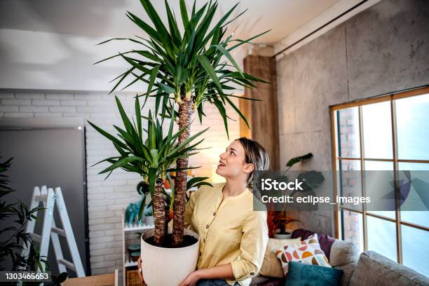 I Make Them Fresh Stock Photo - Download Image Now - Active Lifestyle, Adult, Adults Only