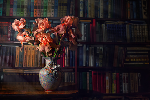 porcelain vase with pink irises stands on the table. There is a bookcase in the background. Vintage dark colors.