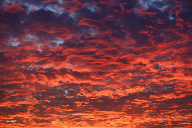 istock Sky sunset in the evening with colorful, orange, blue clouds 1303467180