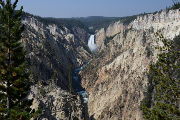 grand canyon de la rivière yellowstone dans le stationnement national de yellowstone, wyoming, etats-unis - eroded water grand canyon of yellowstone river river photos et images de collection