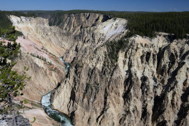 grand canyon de la rivière yellowstone dans le stationnement national de yellowstone, wyoming, etats-unis - eroded water grand canyon of yellowstone river river photos et images de collection