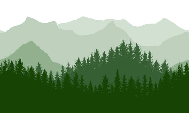 Seamless green wave forest on background of mountains, silhouette. Beautiful landscape.  Vector illustration. Seamless green wave forest on background of mountains, silhouette. Beautiful landscape.  Vector illustration. fir tree horizon forest woods stock illustrations