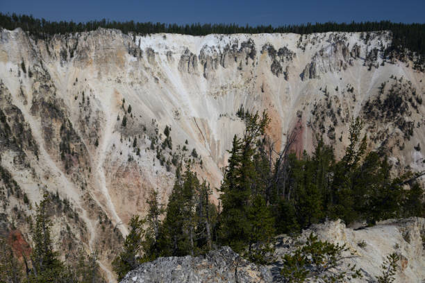 grand canyon de la rivière yellowstone dans le stationnement national de yellowstone, wyoming, etats-unis - eroded water grand canyon of yellowstone river river photos et images de collection