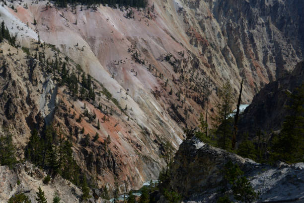 grand canyon de la rivière yellowstone dans le stationnement national de yellowstone, wyoming, etats-unis - eroded water grand canyon of yellowstone river river photos et images de collection