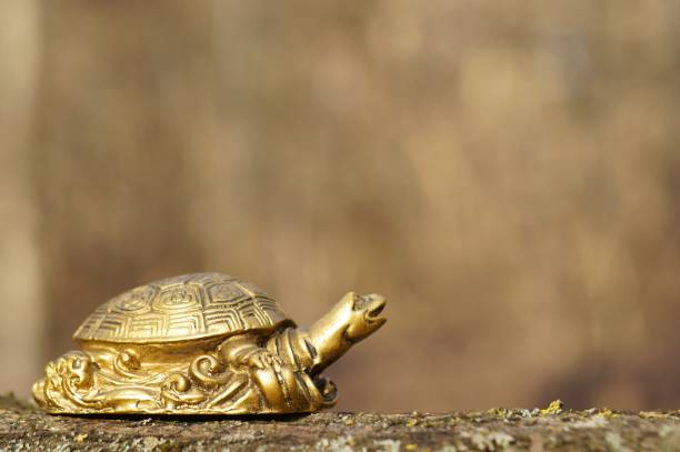 istock Metal turtle on a wooden background. 1303473666