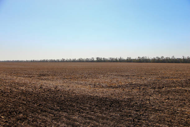 istock Plowed field and good weather 1303474706