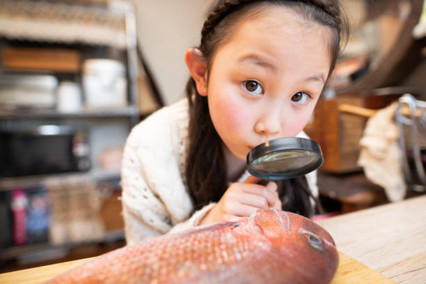 Girl observing fish with a magnifying glass