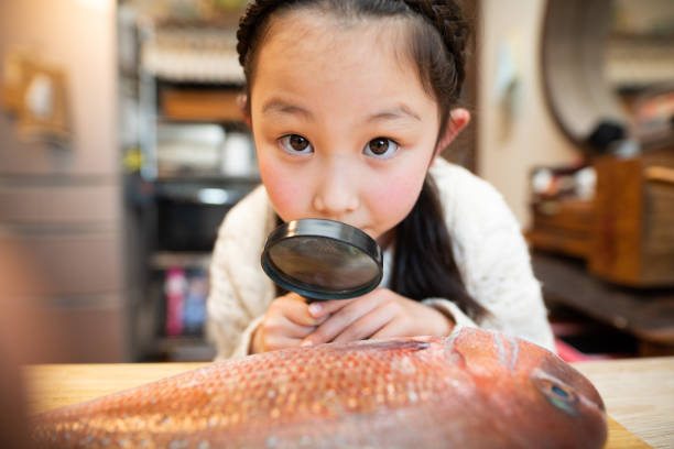 Girl observing fish with a magnifying glass