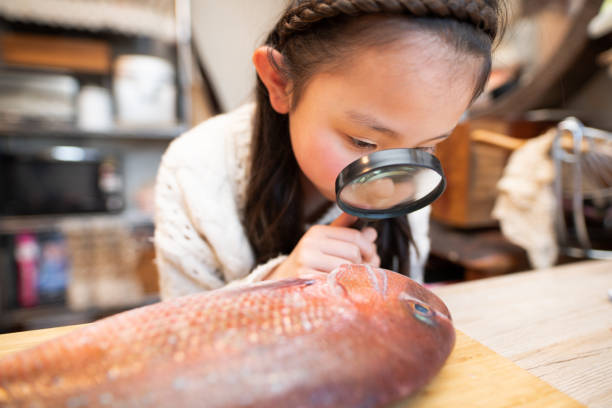 Girl observing fish with a magnifying glass