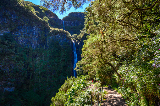 Risco Waterfall - Hiking on Levada trail 25 Fontes in Laurel forest at Rabacal - beautiful landscape scenery - Madeira Island, Portugal