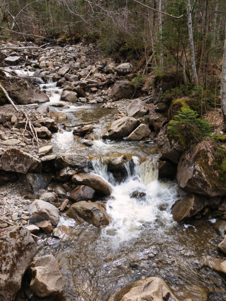 woda małego górskiego strumienia przepływa nad kamieniami - minature waterfall zdjęcia i obrazy z banku zdjęć