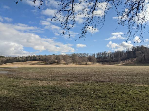 istock Landscape view of a field 1303477073