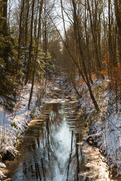 Vacations in Poland - Mountain stream in the Strazyska Valley, Tatra Mountains