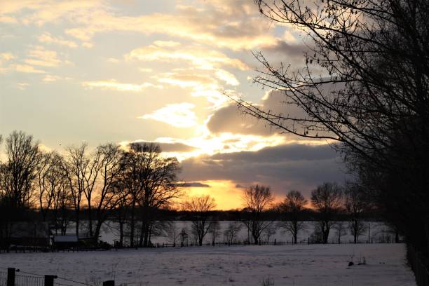 istock A beautyful sunset with cloudy sky and trees in the background 1303479423