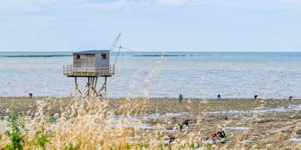 istock net fishing in atlantic coast 1303485795