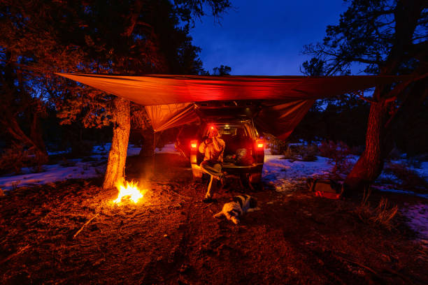 istock Car Camping Bushcraft with Tarp in Winter 1303487158