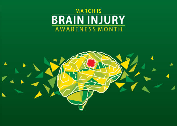National brain injury awareness month design vector illustration of national brain injury awareness month design concussion stock illustrations