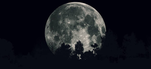 istock Mountain view Panoramic night view full moon, mountain in fog 3d illustration 1303495385
