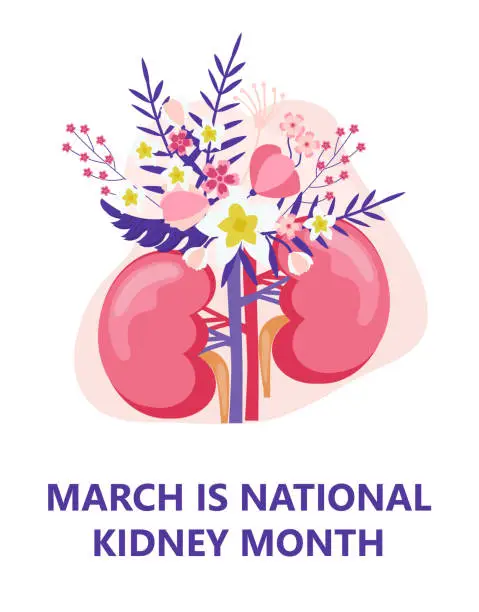 Vector illustration of National kidney month concept vector. Heath care event is celebrated in March. Kidneys are shown on the floral