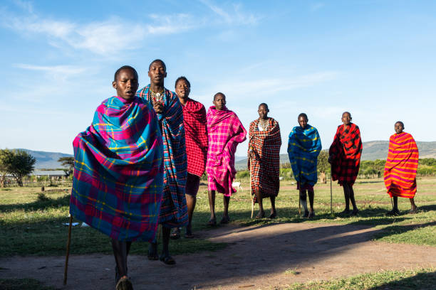 maasai volksstamm bei einem begrüßungstanz, maasai mara - masai africa dancing african culture stock-fotos und bilder