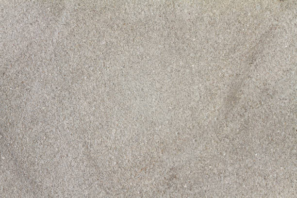 istock Texture of old gray concrete wall for background 1303499316