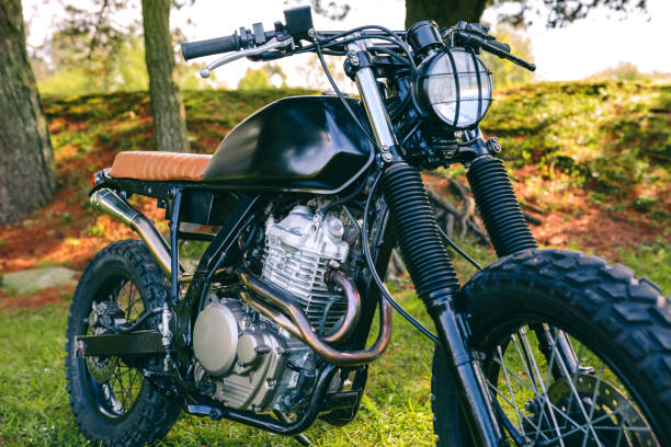 istock Custom motorcycle parked on the field 1303500306