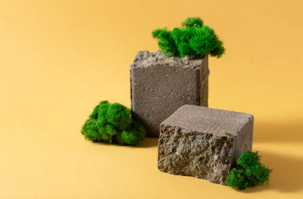 istock creative brick podium and moss on yellow background 1303501121