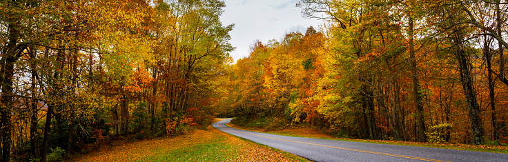 Road  winding through  colorful  autumn forest. Country Road in Autumn Foliage. Blue Ridge Parkway fall season. Asheville, North Carolina, USA.