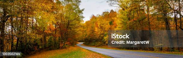 Winding Road Through Fall Forest In Appalachian Mountains Stock Photo - Download Image Now