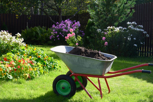 istock Wheelbarrow full of compost on yard 1303502384