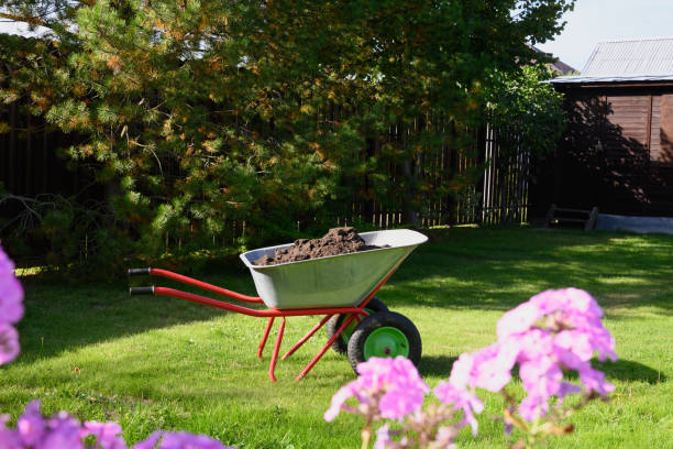 istock Wheelbarrow full of compost on yard 1303502386