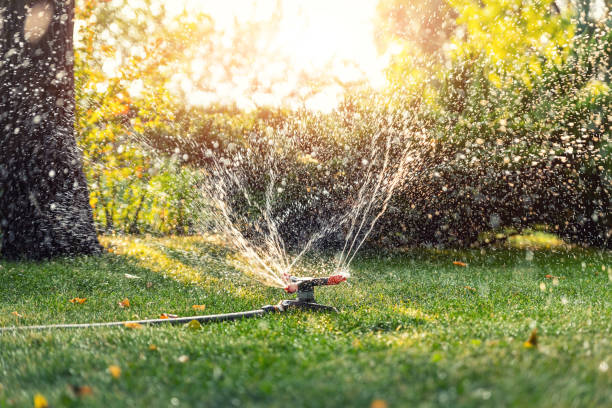 istock Landscape automatic garden watering system with different rotating sprinklers installed on turf. Landscape design with lawn and fruit garden irrigated with smart autonomous sprayers at sunset time 1303503765