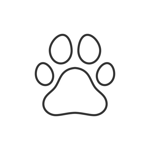 Paw Line Icon Stock Illustration - Download Image Now - Paw Print, Dog,  Outline - Istock