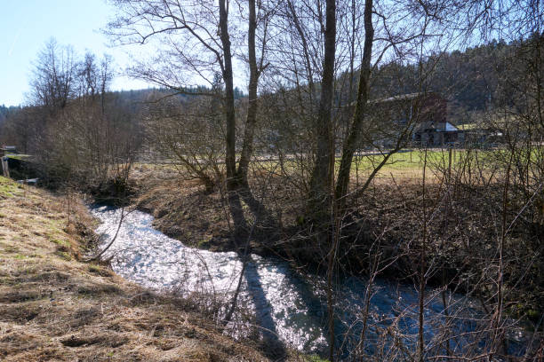 istock beautiful river flowing through the forest on a sunny day 1303506908