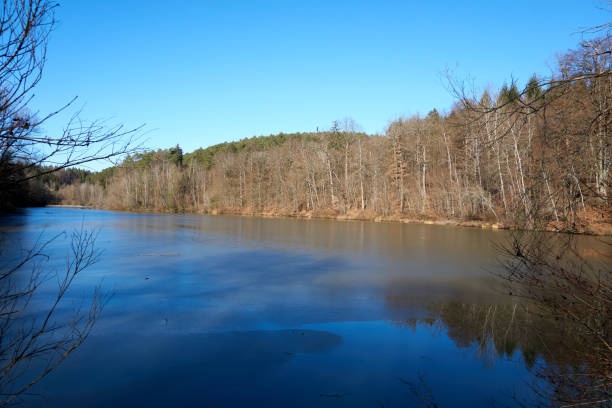 istock artificial lake with a frozen surface surrounded by trees in the forest 1303506947