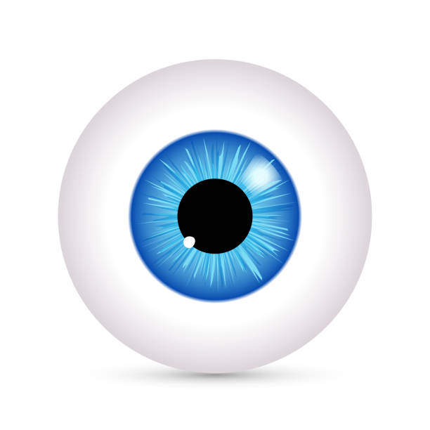 Eye vector look icon. Eyeball vision blue eyesight view symbol ball isolated icon illustration Eye vector look icon. Eyeball vision blue eyesight view symbol ball isolated icon illustration. blue iris stock illustrations