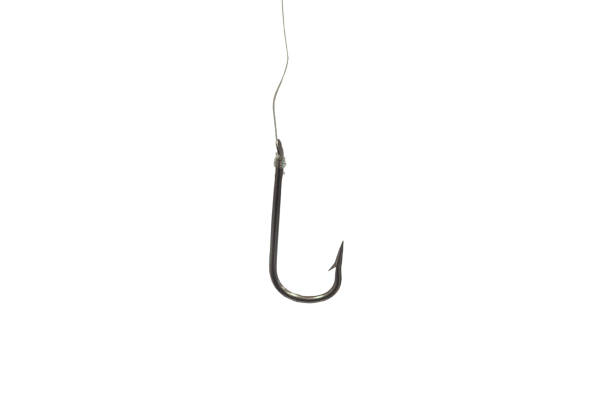 istock Tied stainless steel fish hook isolated on a white background 1303509750