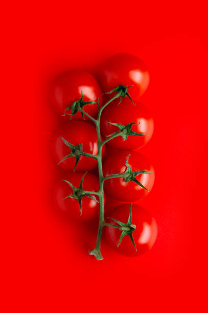 istock Bunch of fresh, red cherry tomatoes with green stems. soft light. copy space. top view 1303510987