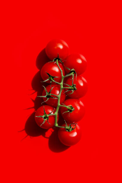 istock Bunch of fresh, red cherry tomatoes with green stems. hard light. copy space. top view 1303510991