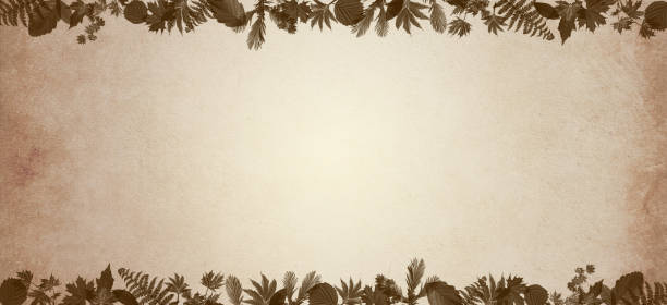 istock 3d illustration beautiful exotic botanical tropical leaves with text box 1303511023