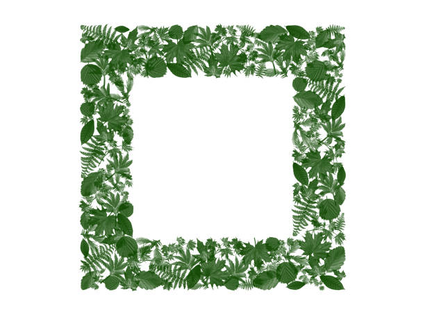 3D rendering of text frame with leaves around For adding text and advertising words